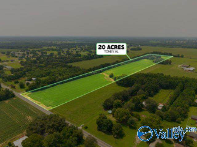 20 acres Alabama Highway 251 - Photo 1