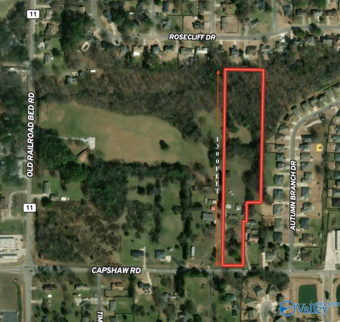 1781 Capshaw Road - Photo 1