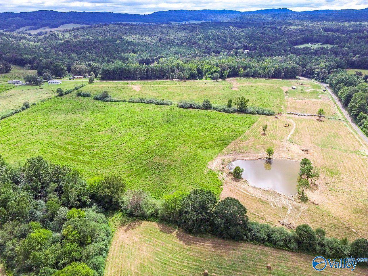 1470 Chamblee Mill Road - Photo 1