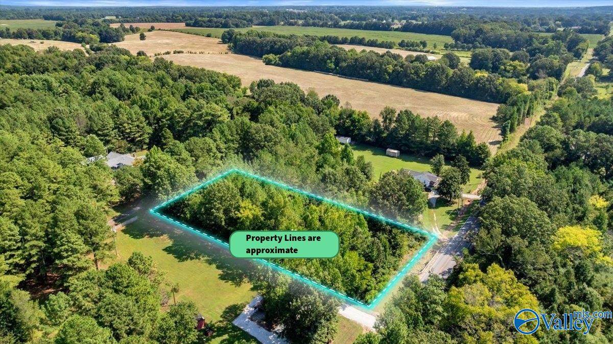 7609 Snake Road - Photo 1