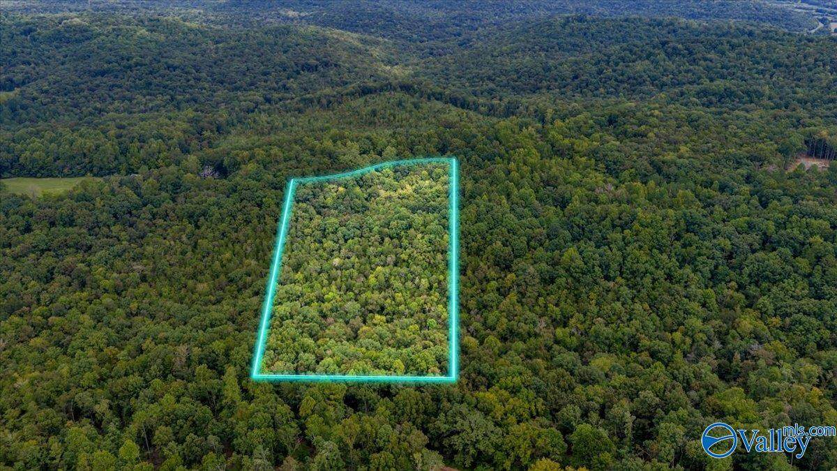 15 acres Fish Trap Road - Photo 1