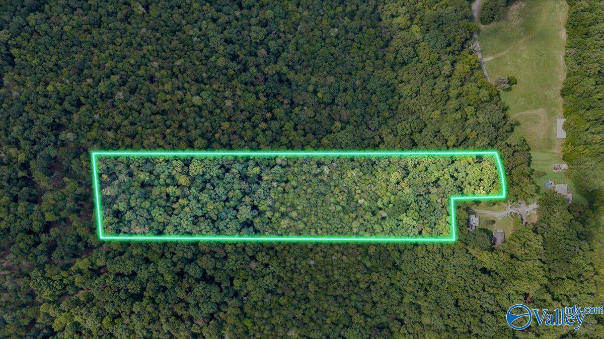 6.5 acres Fish Trap Road - Photo 1