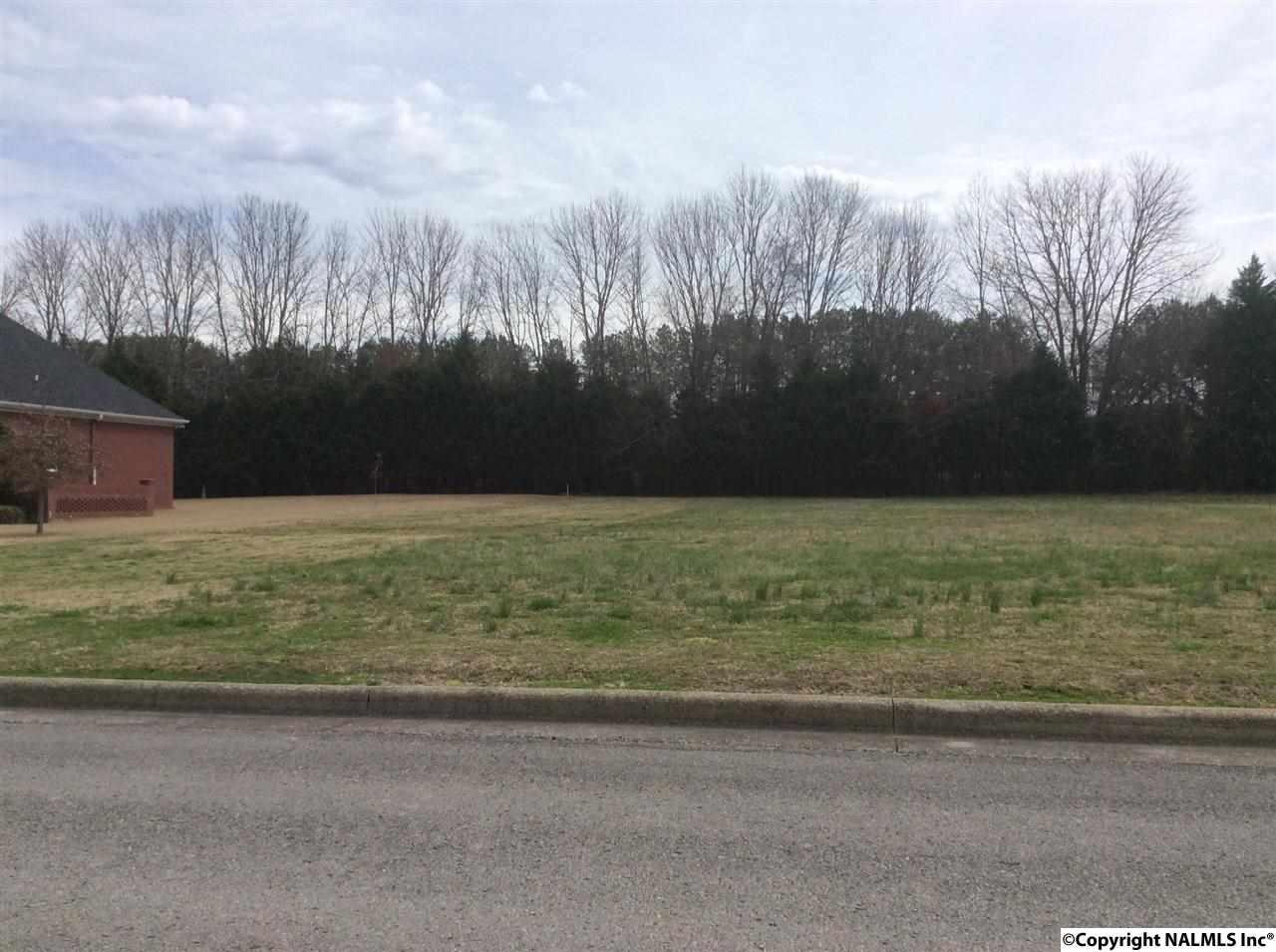 207 Briarwood Circle - Photo 1