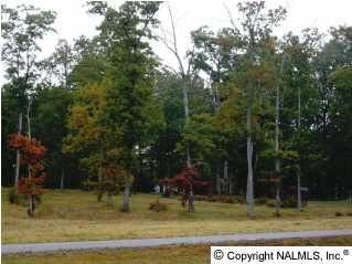 131 Hillsdale Drive - Photo 1