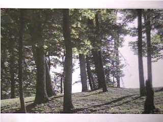 Heritage Bluff Circle - Photo 1