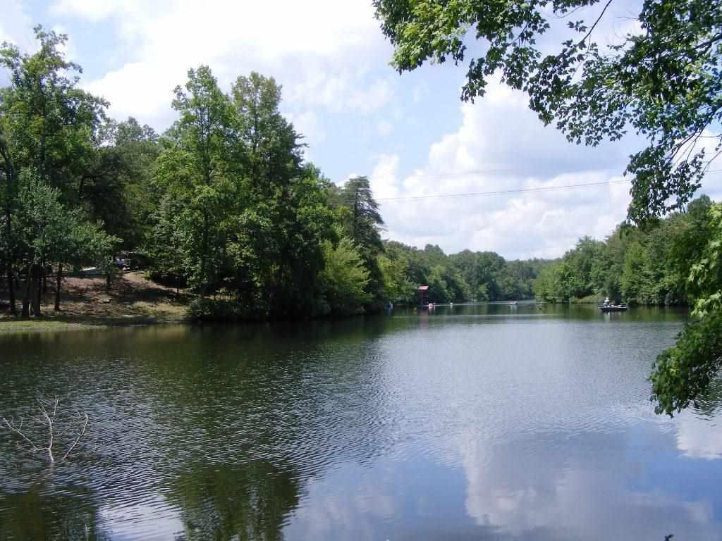 102 County Road 945 - Photo 1