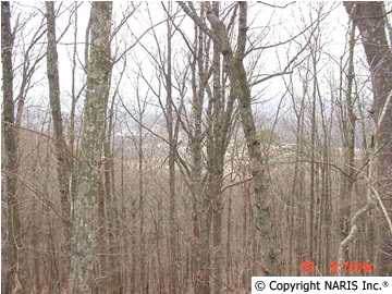 4210 Citadel Rock Road - Photo 1
