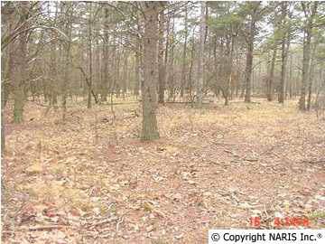 4215 Citadel Rock Road - Photo 1
