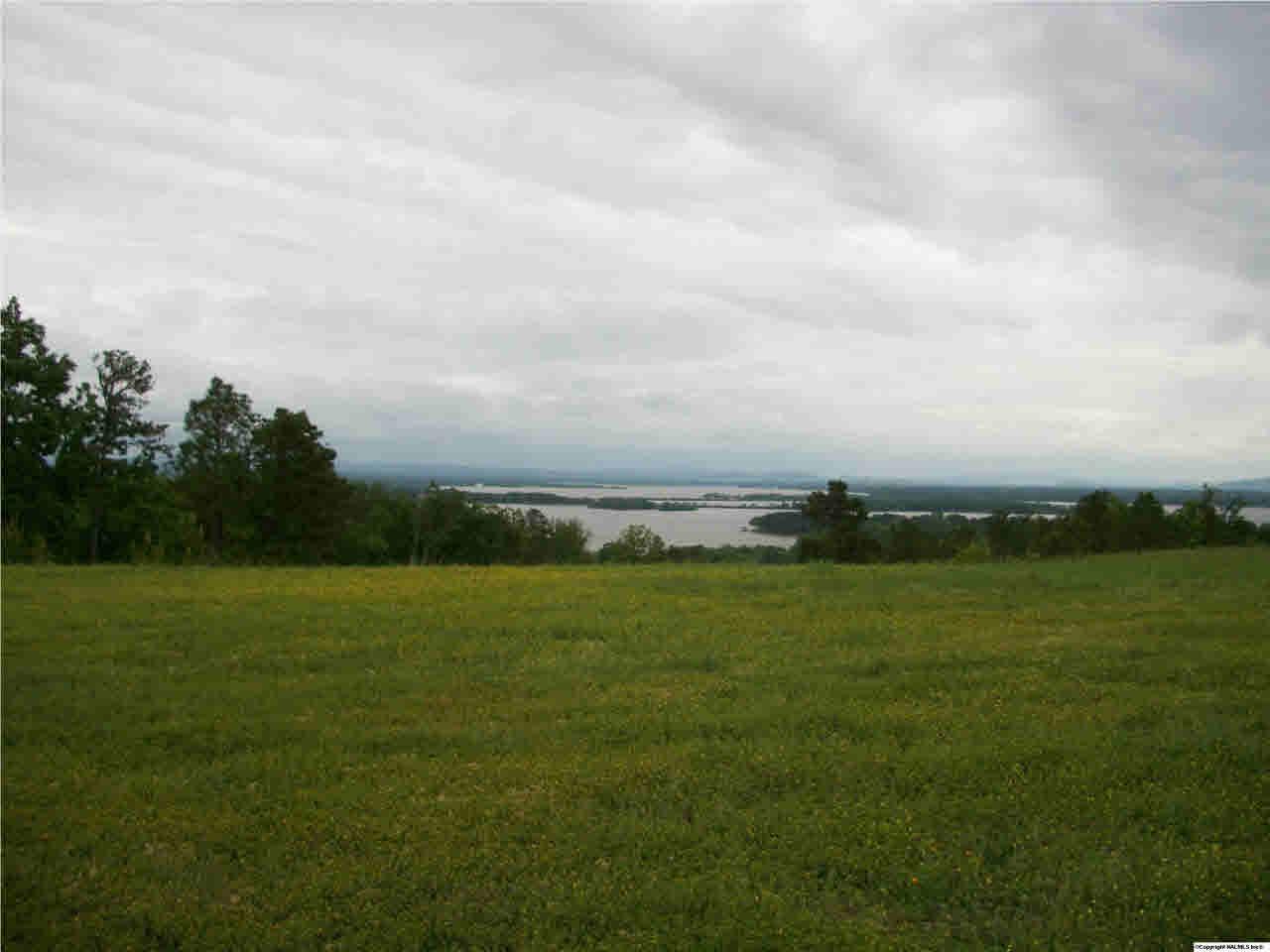 71 County Road 767 - Photo 1