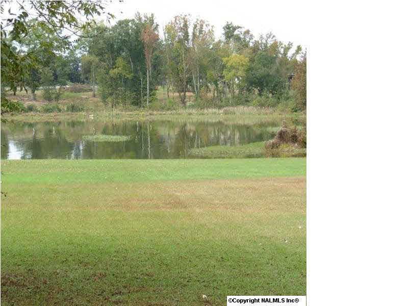 0 Riverview Drive - Photo 1