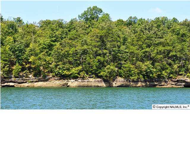 Forest Road 135 - Photo 1