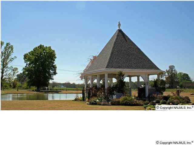 2801 Turtle Pond Lane - Photo 1