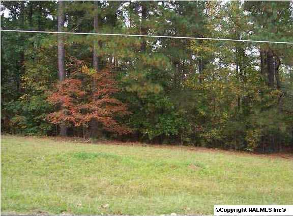 4 County Road 380 - Photo 1
