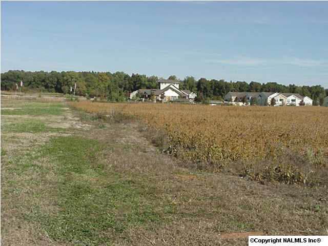 Palmer Road - Photo 1