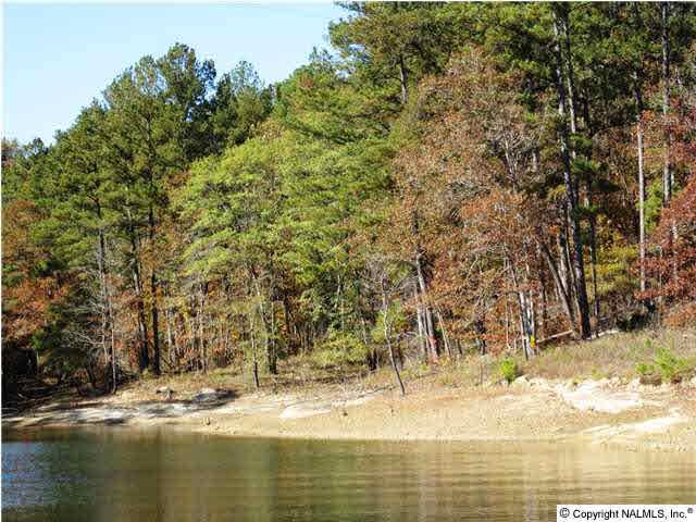 lot 1 Forest Road 135 - Photo 1