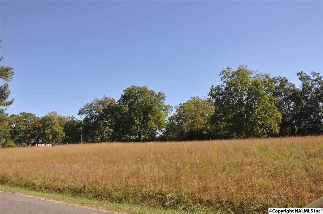 0 Alabama Highway 69 - Photo 1