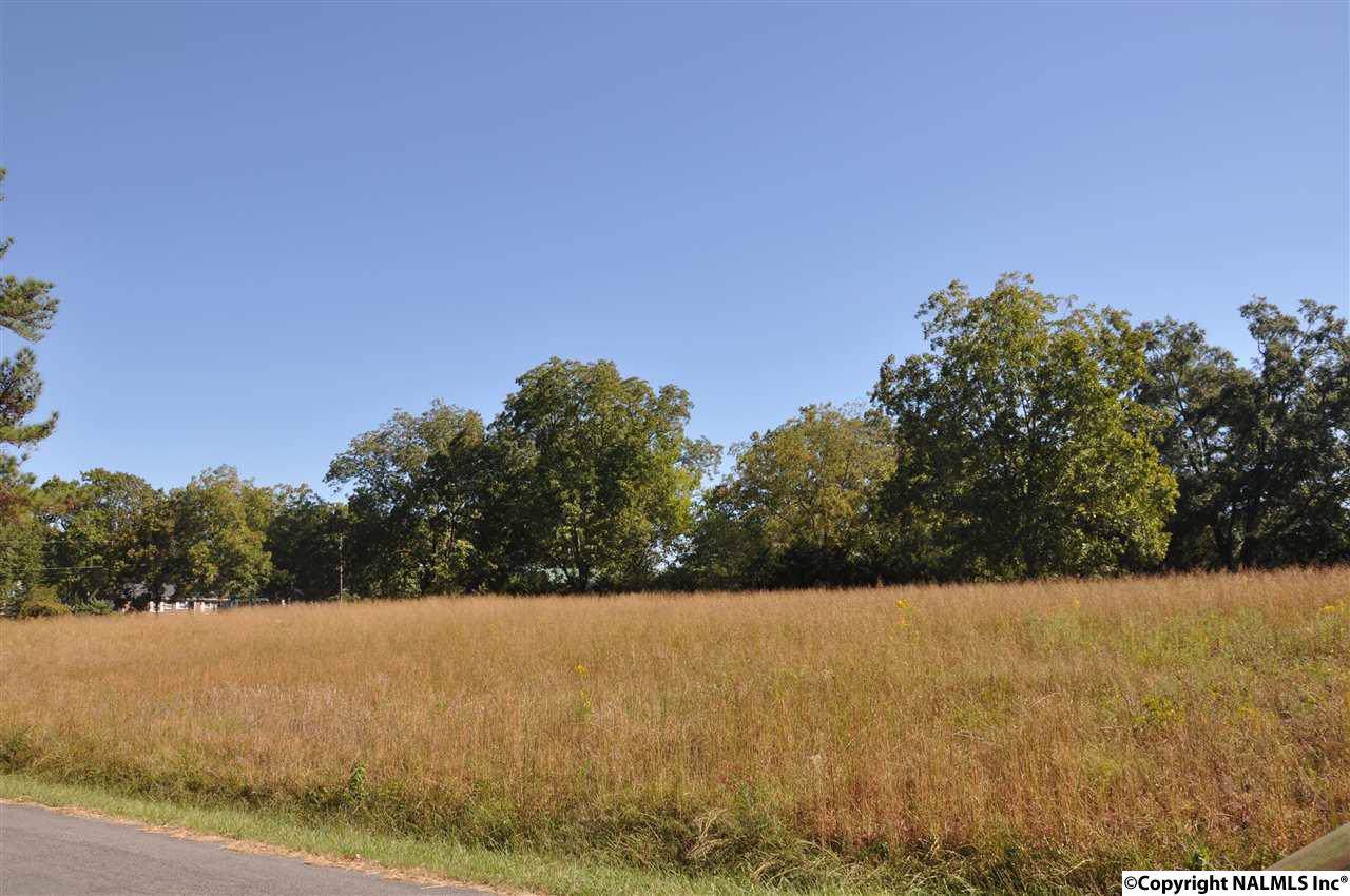 0 Alabama Highway 69 - Photo 1