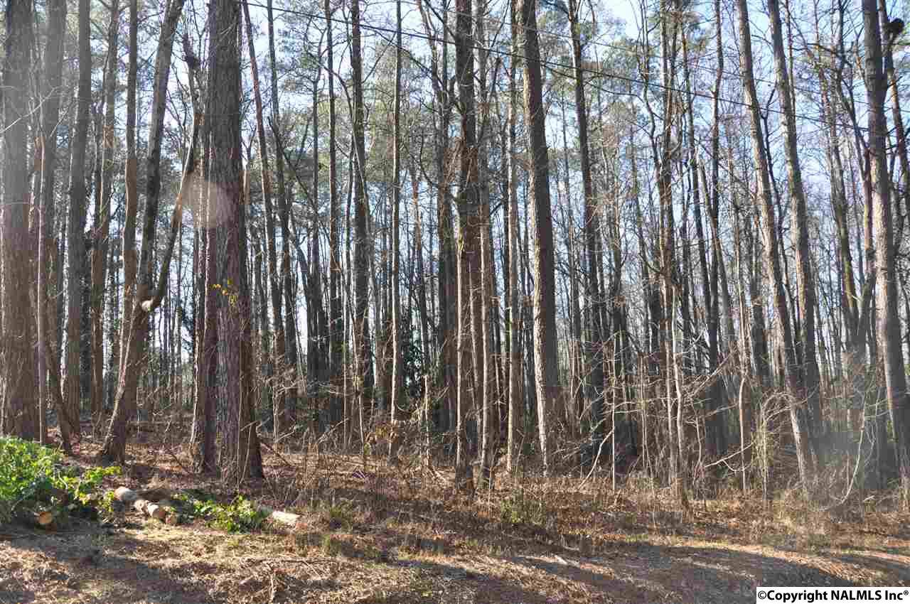 0 8TH AVENUE - Photo 1