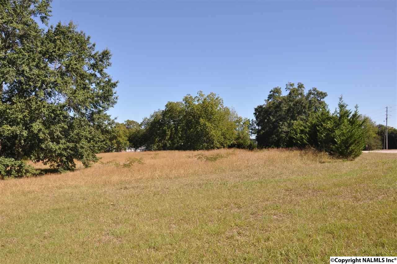 0 Alabama Highway 69 - Photo 1