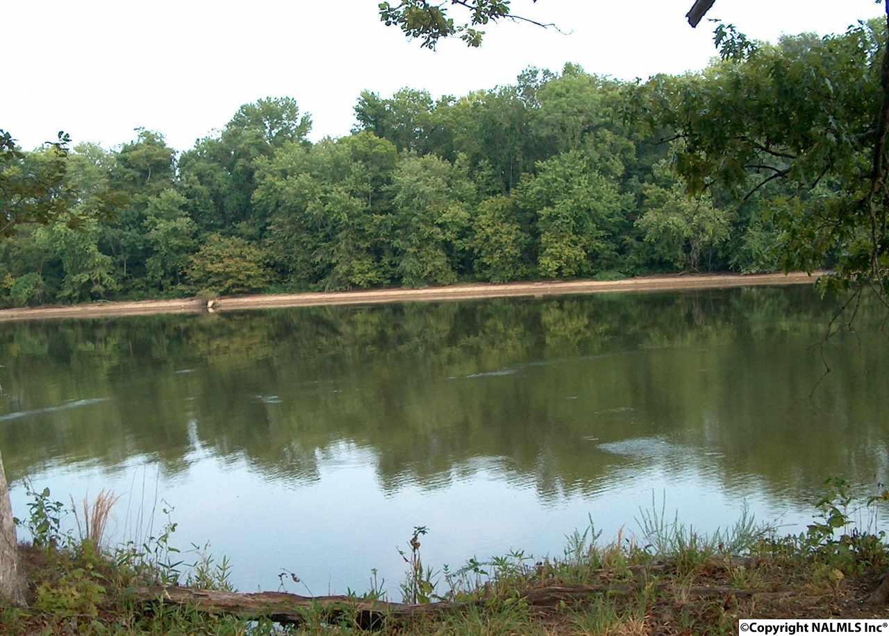 Lot 66 & 67 County Road 761 - Photo 1