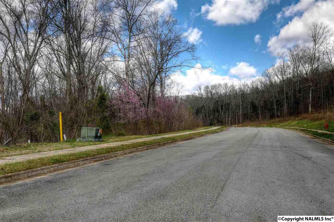 303 Kensington Drive - Photo 1