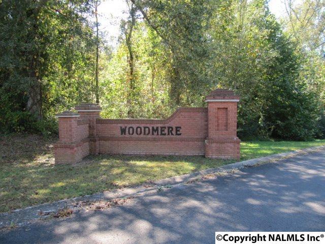 Woodmere Drive - Photo 1