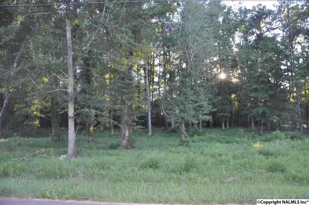 Oak Lane - Photo 1