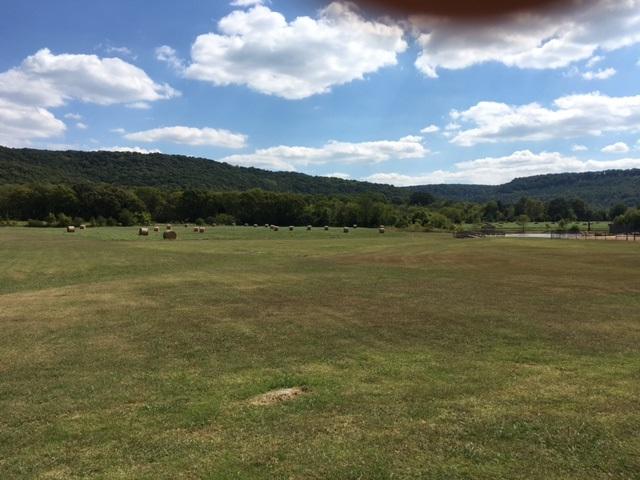 Lot 19 Cedar Trace Drive - Photo 1