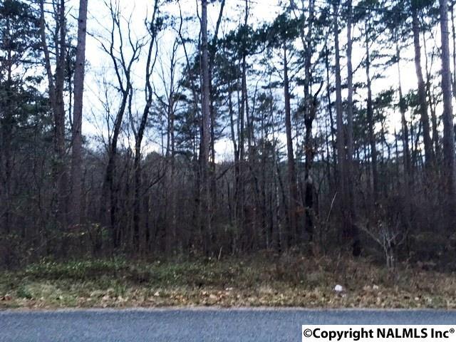 0 Brow Drive - Photo 1