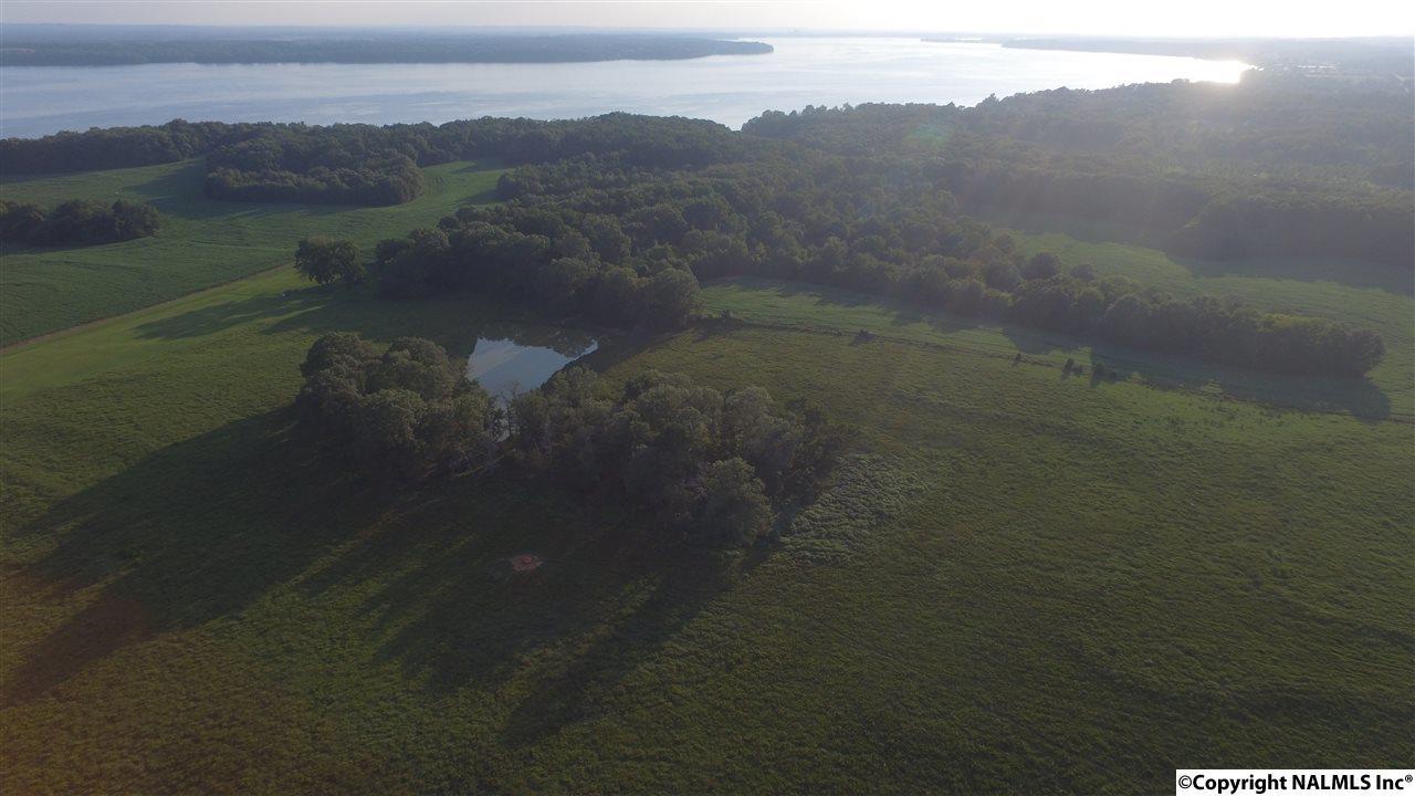 0 Davis Road - Photo 1