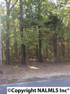 Shagbark Trail - Photo 1