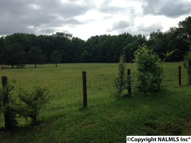 1230 Browns Ferry Road - Photo 1