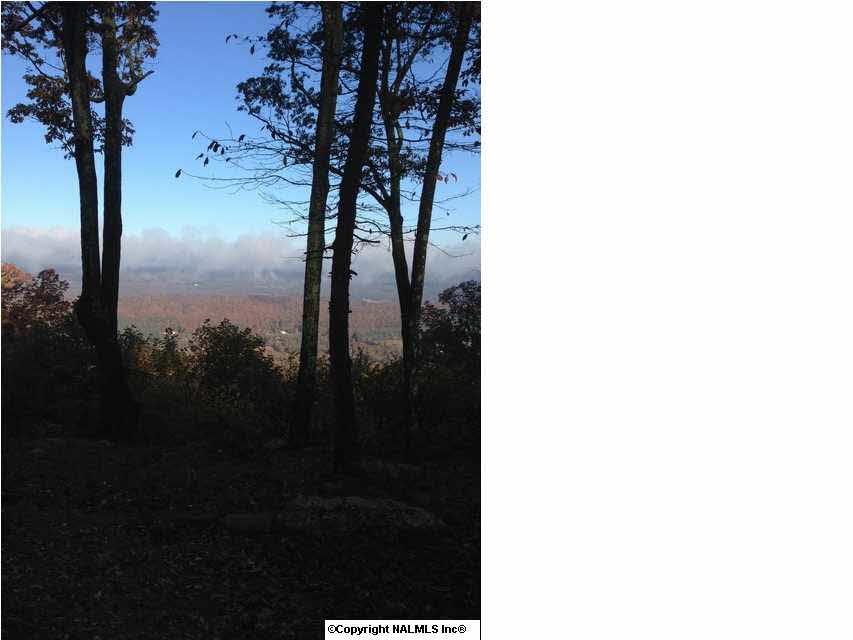 0 County Road 89 - Photo 1