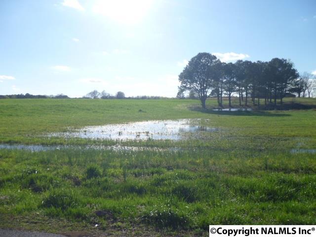 Lot 21 Garrett Street - Photo 1