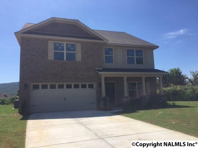 3107 Magnolia Leaf Circle - Photo 1