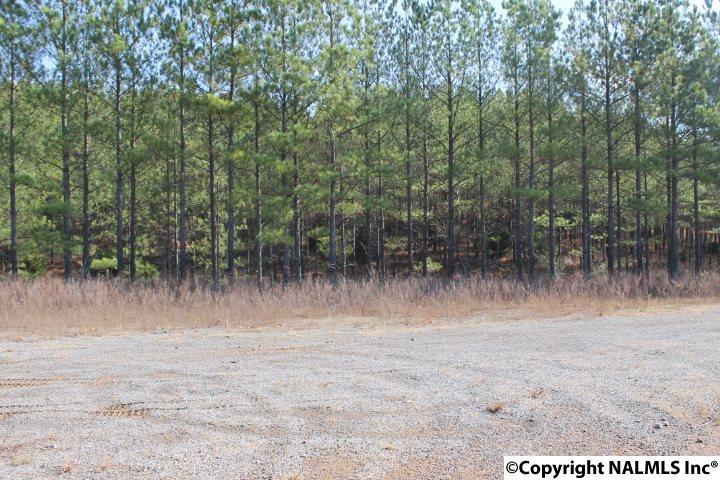 00 County Road 153 - Photo 1