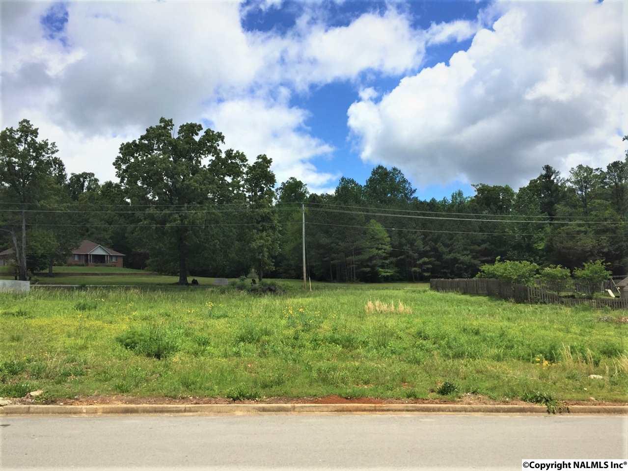 307 Cedar Trail Lane - Photo 1