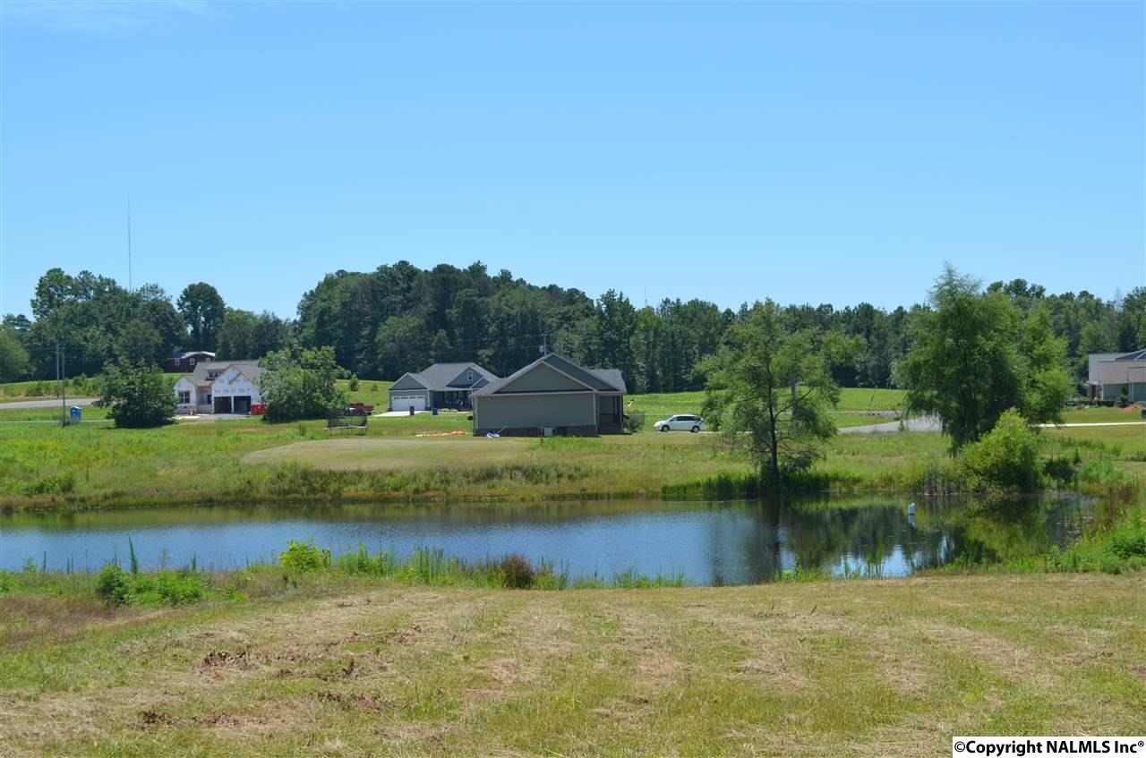 Lot 33 Rustic Trace - Photo 1