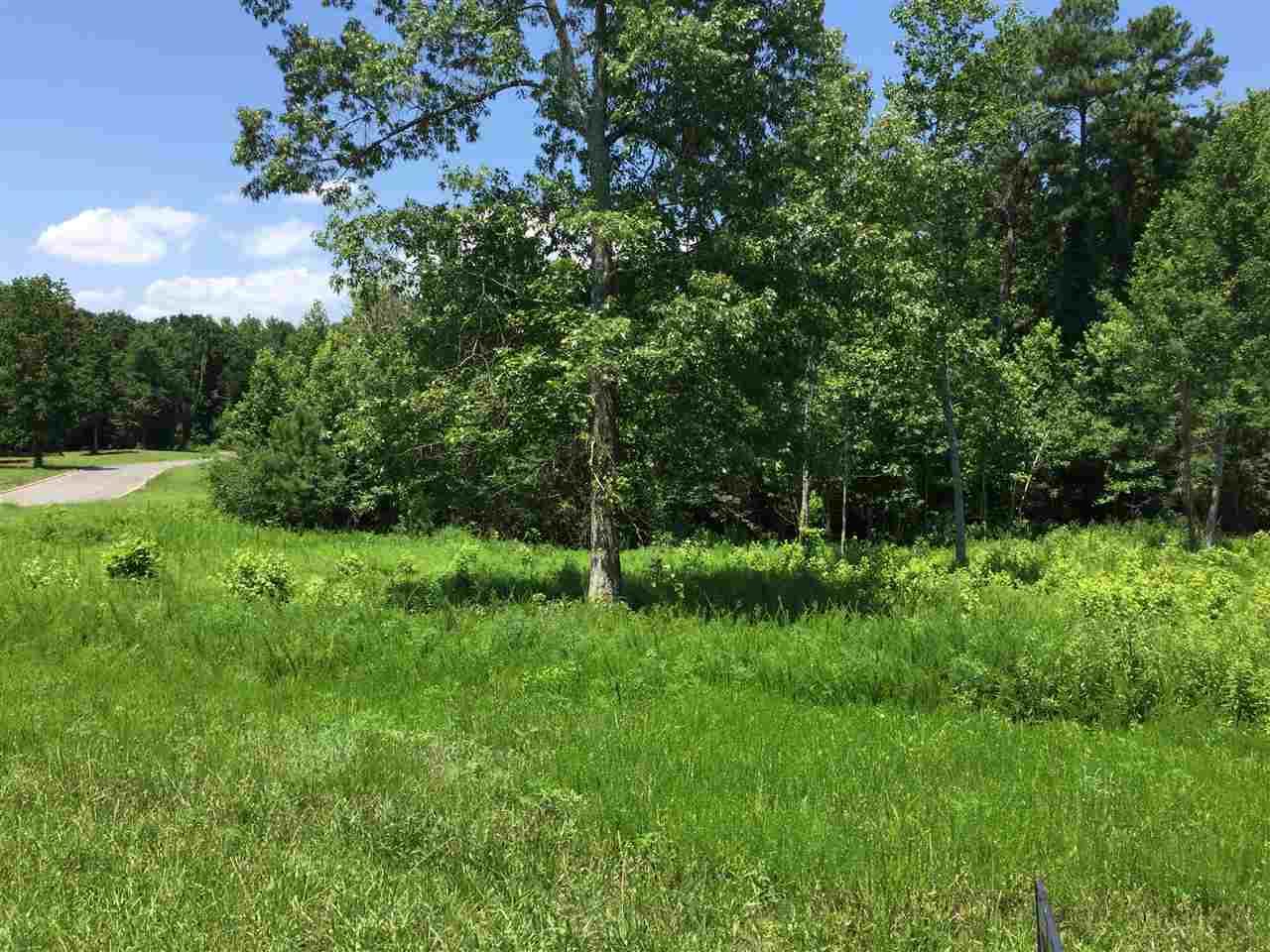 LOT 5 Island Drive - Photo 1