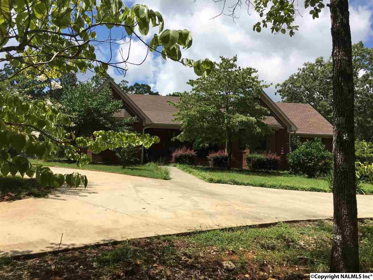 8067 Al Hwy 33 - Photo 1