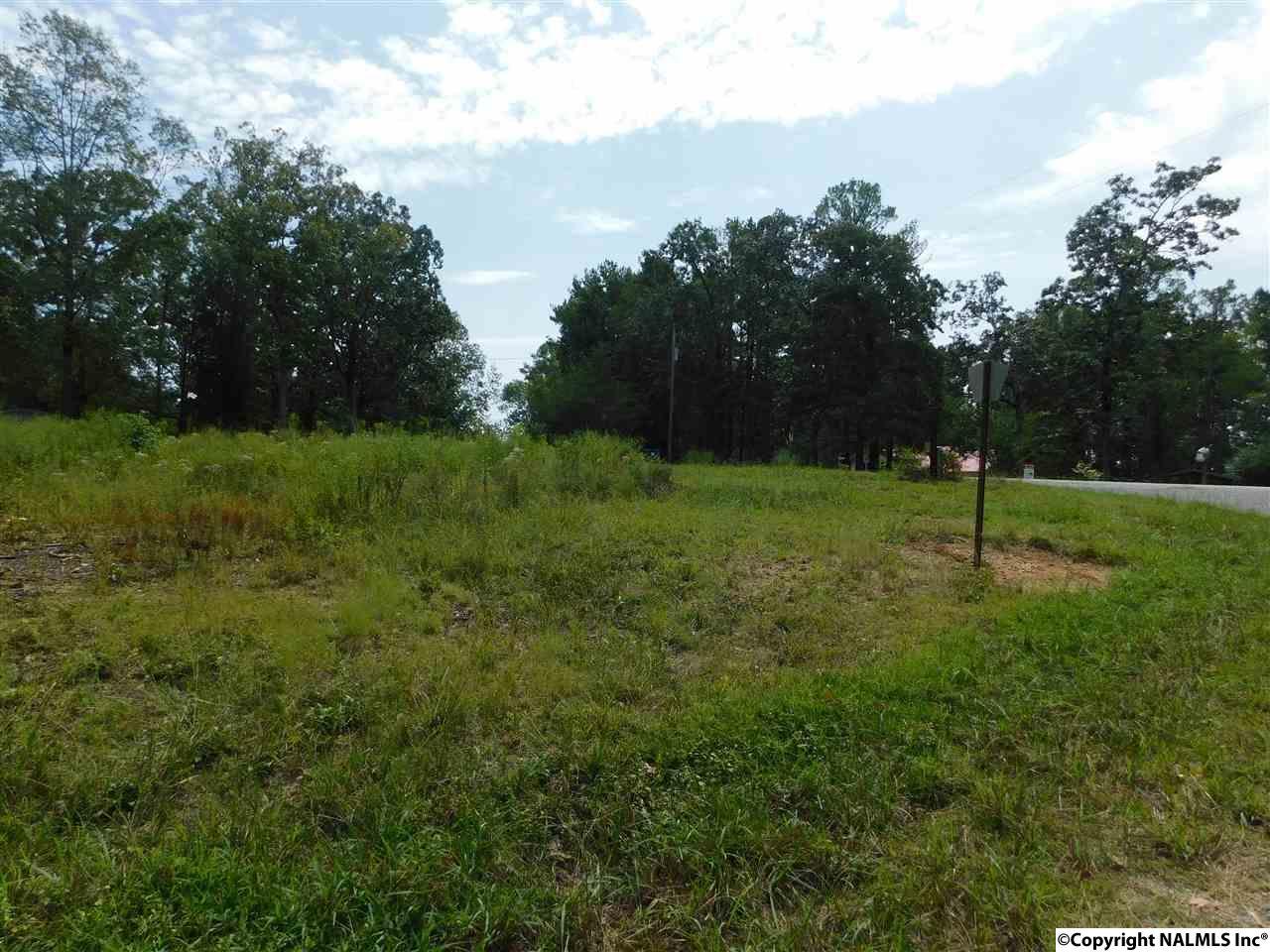 Lot 36 County Road 683 - Photo 1