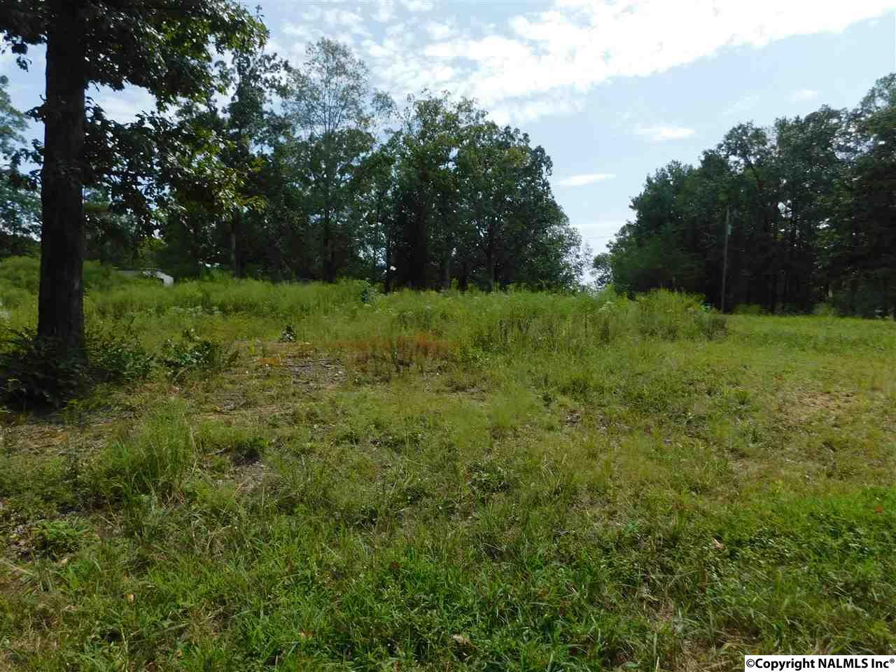 Lot 34 County Road 638 - Photo 1