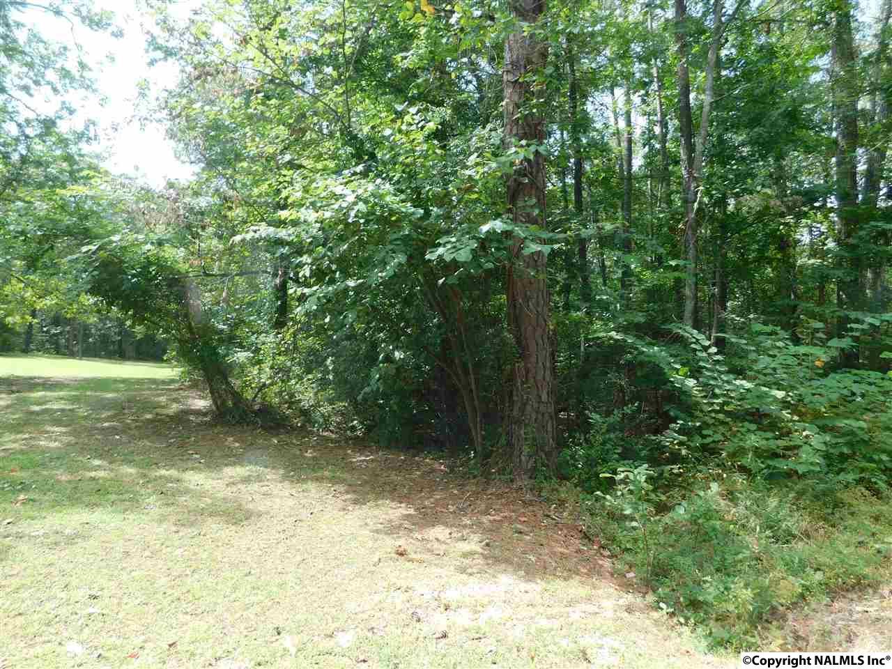 Lot 37 County Road 683 - Photo 1