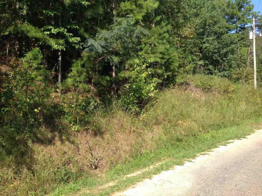 Lt#4 Bowman Drive - Photo 1