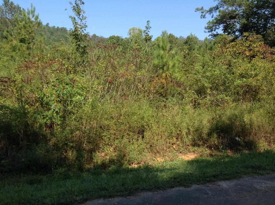 Lt#21 Bowman Drive - Photo 1