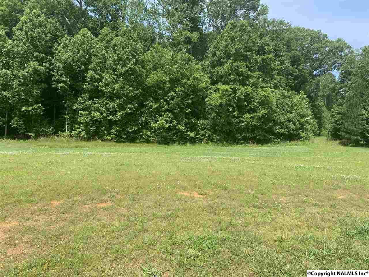 22784 Baltusrol Lane - Photo 1