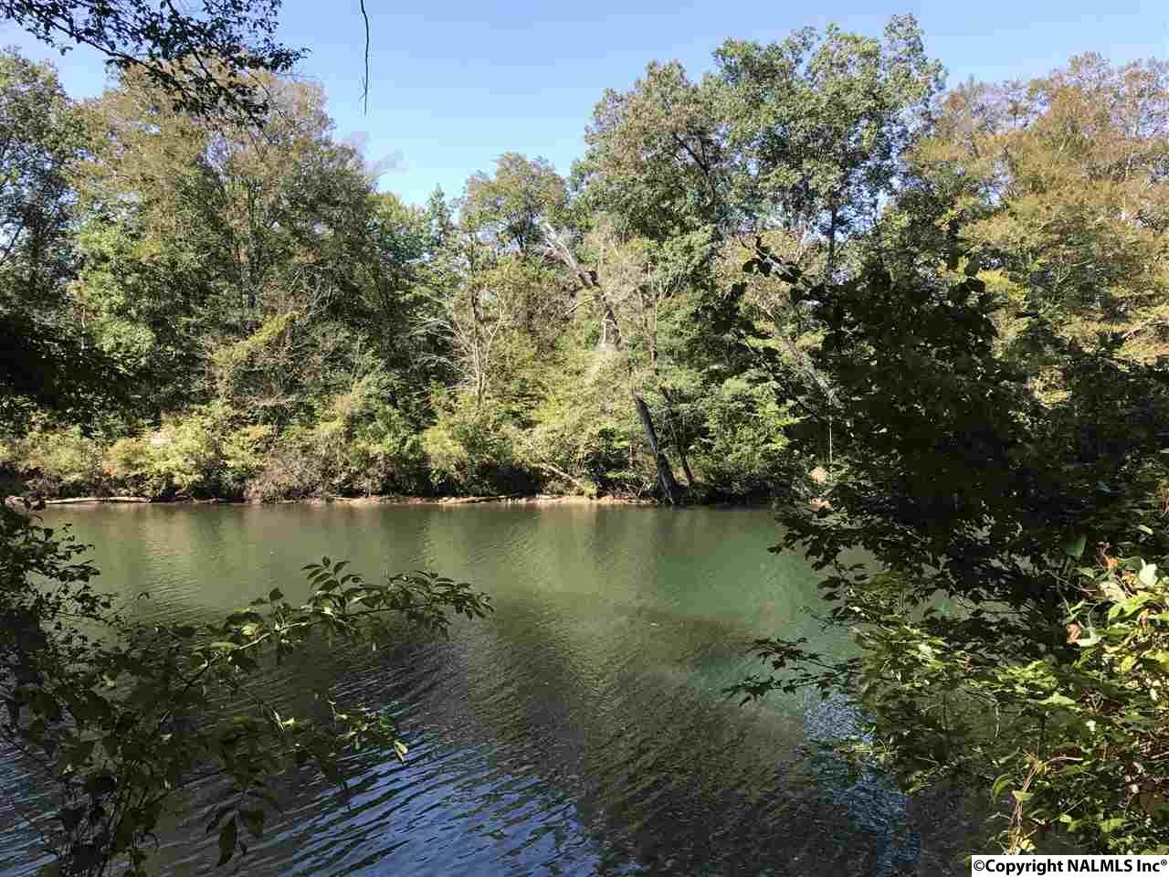 5 or 6 County Road 766 - Photo 1