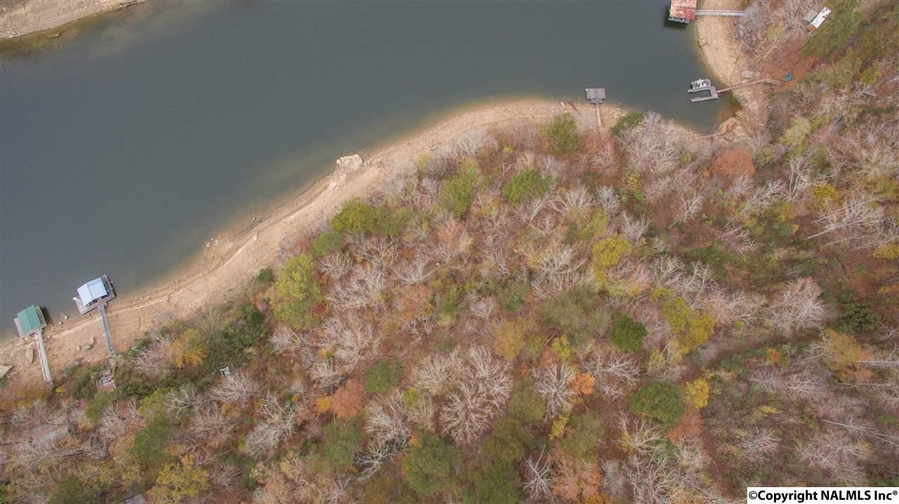 Lot 20 County Road 214 - Photo 1