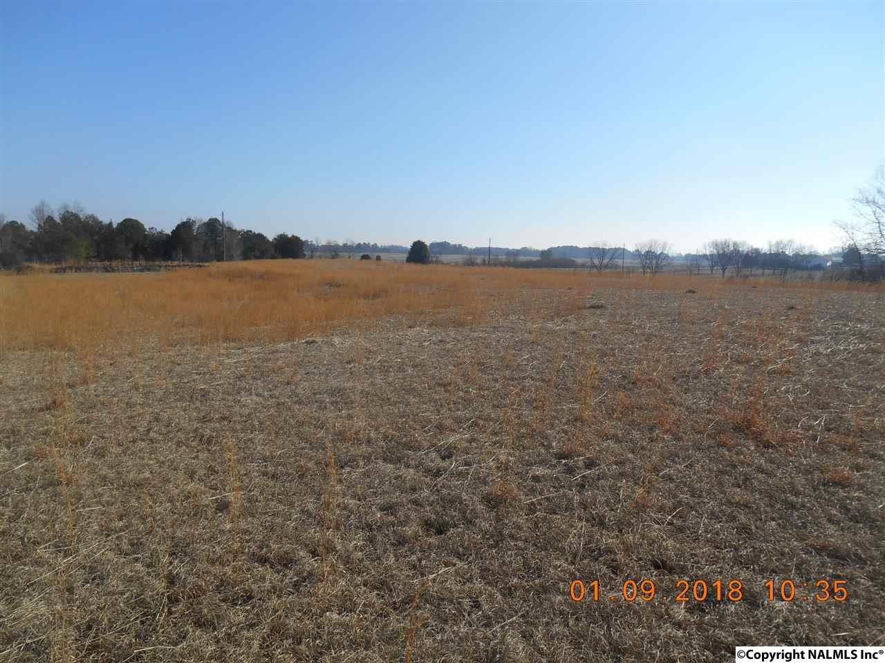 Coats Bend Road - Photo 1