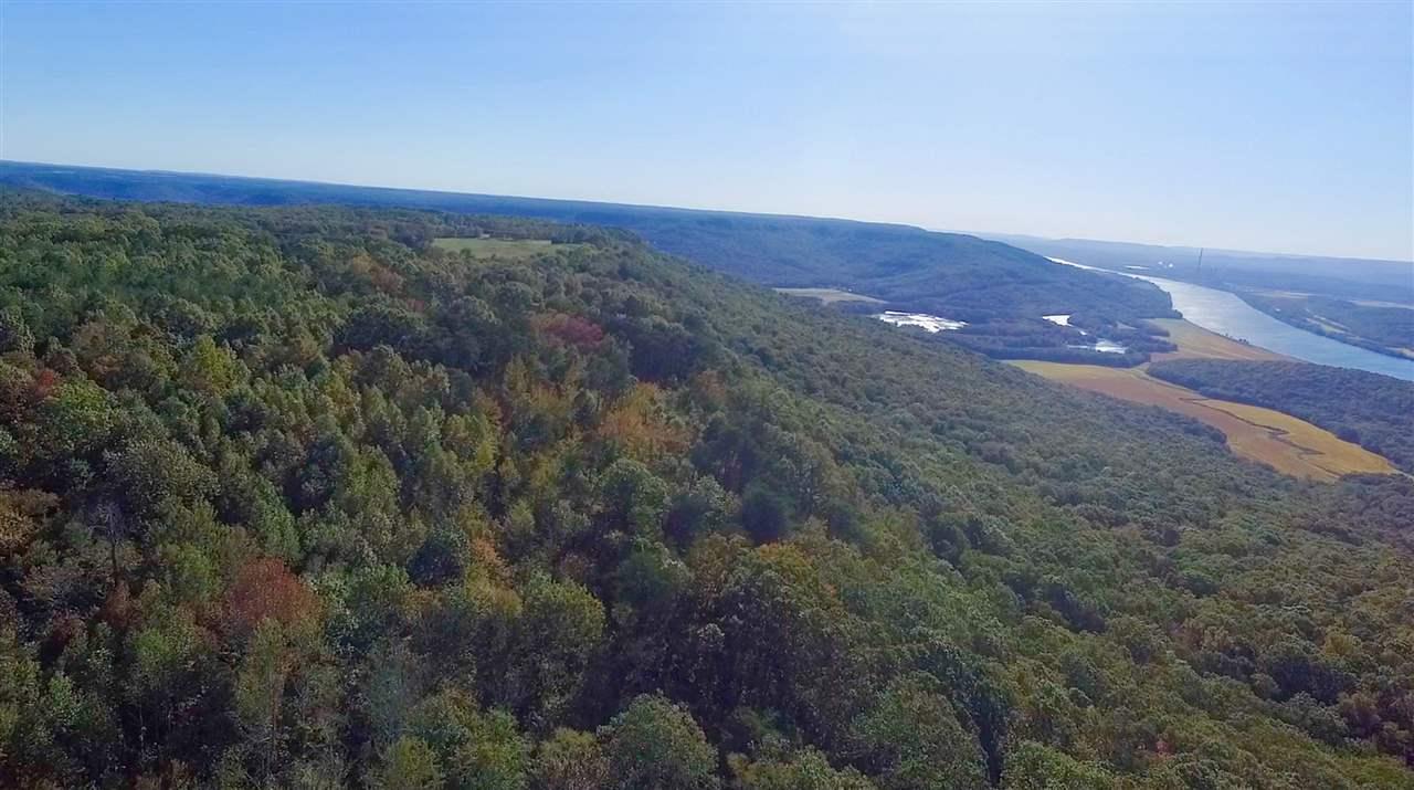 3200 County Road 131 - Photo 1